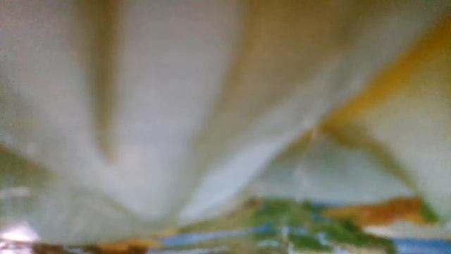 Хлопай-топай(Эх. Раз! Еще раз!Целый класс пустился в пляс!Хлопай-топай! Топай-хлопай!(наброски)