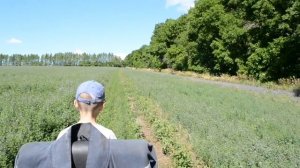 За дровами. Самодельный минитрактор с самодельным прицепом.