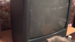 TV Panasoniс ремонт 2-й (строчный транзистор)