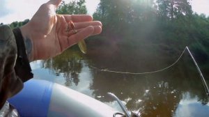 Река Пижма. Рыбалка на спиннинг и поплавок