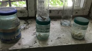 Чернобль/26 апреля 1986/32 года спустя/#БылаВЧернобыле