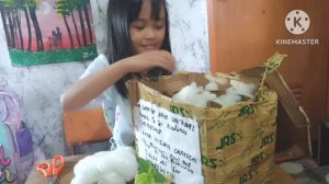 unboxing lava fire anthurium foliage seedlings