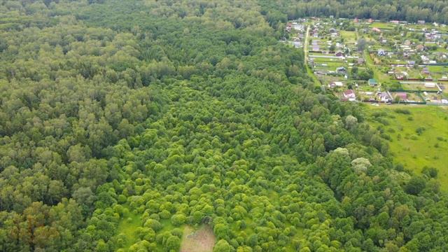 Участки в деревне Акулово смотреть онлайн
