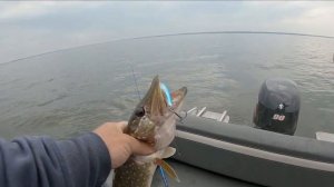 Рыбалка на Рыбинском водохранилище .