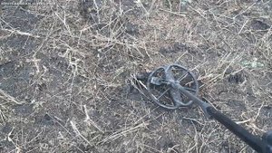 Копаем Курган. Закрытие поискового сезона в соседней области. КОП монет с металлоискателем.