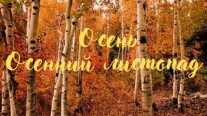 ОСЕНЬ. Осенний листопад. Красивая романтическая музыка.