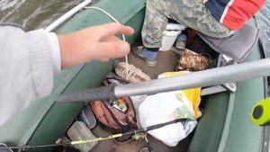 Хитрости в ловли Судака когда на обычные приманки  не клюет