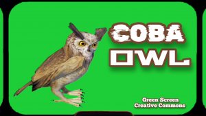 СОВА видео Green Screen футаж. ХРОМАКЕЙ АНИМАЦИЯ на зелёном фоне.