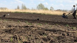 Крот перевертыш