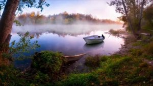 Дворовые песни. В. Петлюра. Курочка