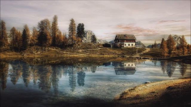 Tony Tucker смотреть онлайн