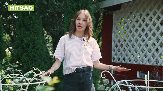 Опора для растений в саду ➔ Шпалера для винограда смотреть онлайн