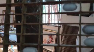 Вьетнам 2019. Производство шёлка, гусеницы шелкопряда