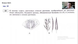 Задания 23 линии БОТАНИКА ЕГЭ 2022