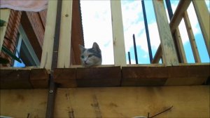 плов готов .WMV