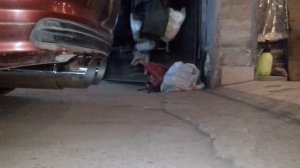 Звук выхлопа e46 3uz-fe