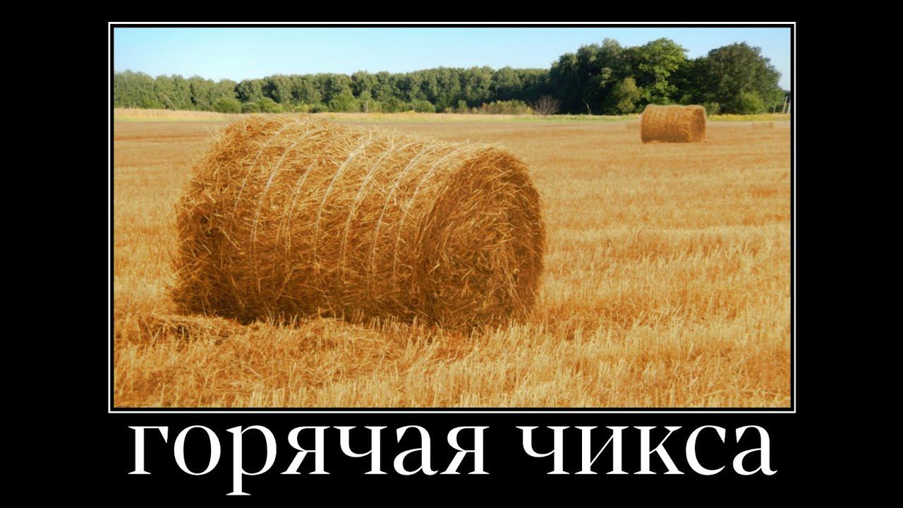 в главных ролях: трава смотреть онлайн