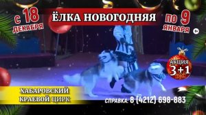 «ЕЛКА НОВОГОДНЯЯ» с 18 декабря по 9 января! Международная цирковая программа , в ХАБАРОВСКОМ Цирке!