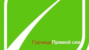 Горчица белая: классика vs прямой посев