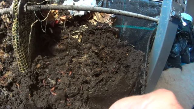 50 литровый вермисептик в спальне vermitechnologii 25.07.2017. 1 смотреть онлайн