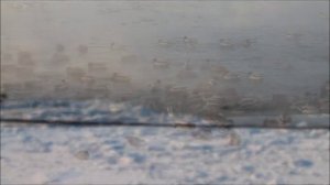 Canon 18-55 STM, тест стабилизатора (Image Stabilizer), video. Canon EOS 1100D