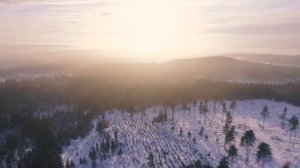 Стихотворение Е.Беловой "Стёрта память веками" читает Нетужилов В. В.