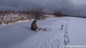 ПЕРВЫЙ ЛЁД 2023-24! БАЛАНСИР! РЫБАЛКА ПО ПЕРВОЛЕДЬЮ! Зимняя рыбалка#первыйлед