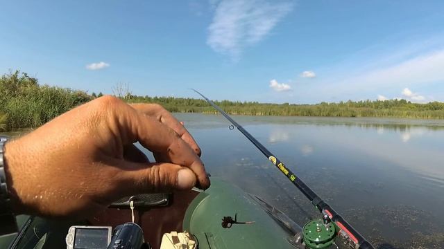 Нашёл болото ,полное КАРАСЕЙ ! смотреть онлайн