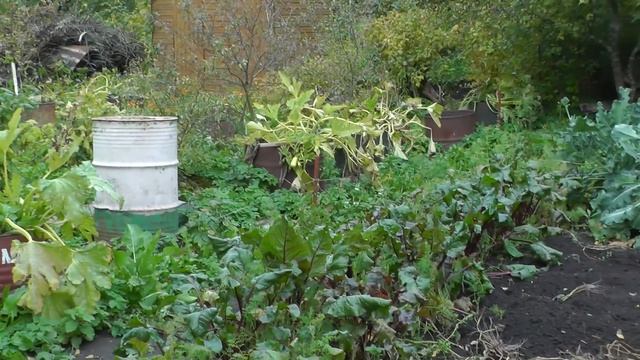 #76 ПОСЛЕДНИЙ ДАЧНЫЙ VLOG И РУМ ТУР ПО ДОМИКУ! ПРОДАЛИ ДАЧУ смотреть онлайн