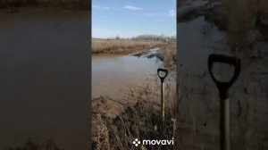 Nissan AD ПокаТушка