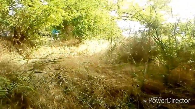 Поймал дикую нутрию