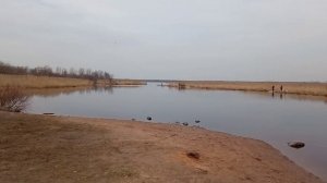Лахтинский разлив 13 апреля 2021 года #Ловят рыбу# Рыбалка