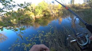 ЩУКА осенью на малой реке!! Рыбалка на спиннинг