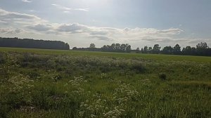 жизнь в деревне