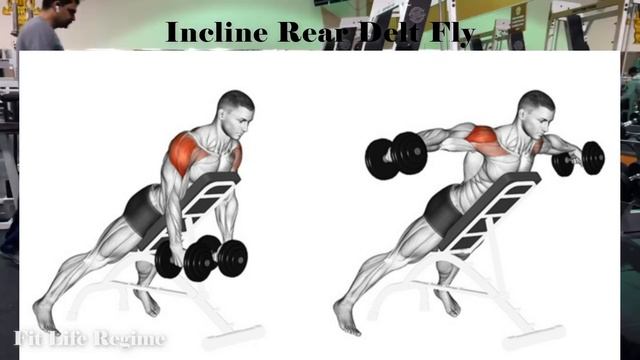 12 Best Dumbbell Only Shoulder Exercises