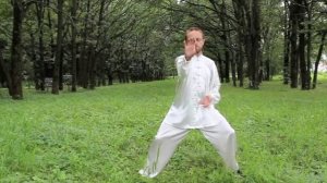 Восемь кусков парчи (7-я форма)