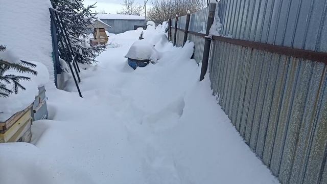 спасаю теплицу, много снега. смотреть онлайн