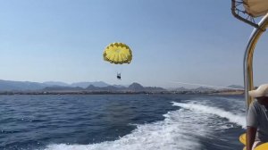 Charmillion Club Resort / Шарм-эль-Шейх Египет/ Чармиллион клуб