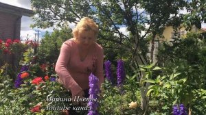 РОЗА ФЛОРИБУНДА - ОСОБЕННОСТИ ОБРЕЗКИ