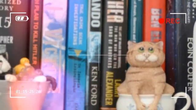 LOOK THIS Canary Flex review The affordable all-weather home Wi-Fi camera смотреть онлайн