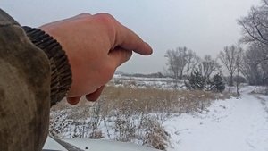 Охота на Зайца. Добыл Лису. Разделываю Зайца в Лесу.
