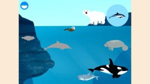 Кто живет в океане. Обучающее видео для детей 2-5 лет. Учим океан.