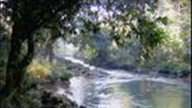 titanic piano y violin hermosa смотреть онлайн