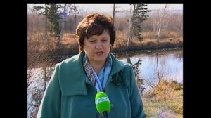 Жители посёлка Бурнинские Вихоря обеспокоены качеством воды в реке