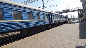 АРТёMIX - путешествие домашних животных на поезде