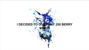 250 BERRY SEEDS GIVEAWAY