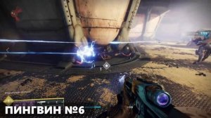 Destiny 2. Все 9 пингвинов Европы