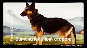 ЗАМЕЧАТЕЛЬНЫЙ СТОРОЖ ? рассказ ? аудио ? автор Георгий Скребицкий ?