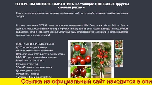 Мини Деревья Цена смотреть онлайн