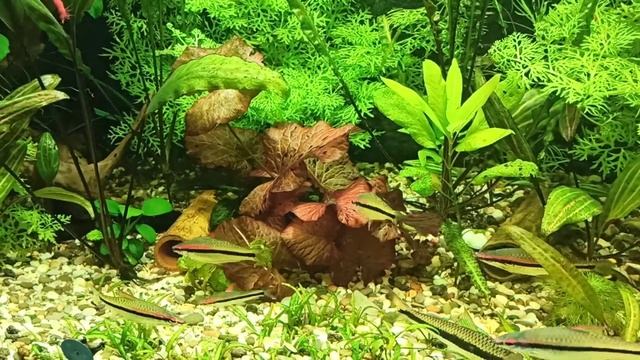 Покой нам только снится смотреть онлайн